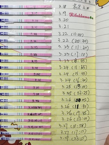 journal_insert_pic_216968411