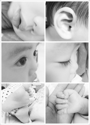 journal_insert_pic_217186089