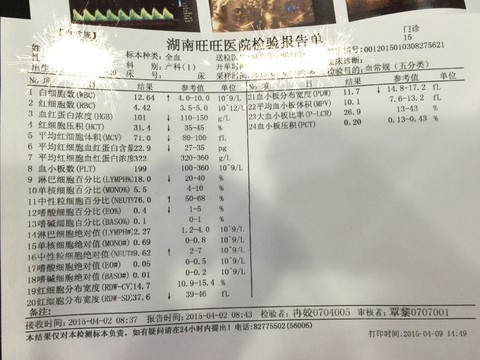 journal_insert_pic_217990125