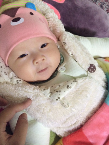 journal_insert_pic_218992615