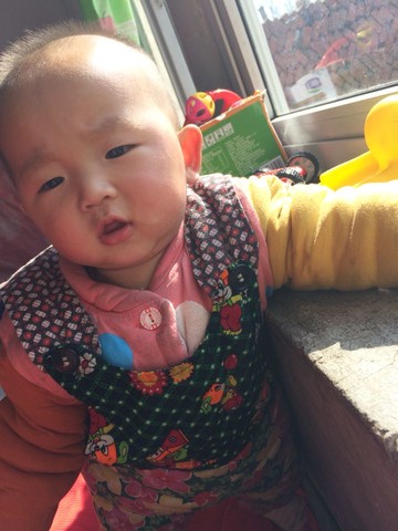 journal_insert_pic_219069318
