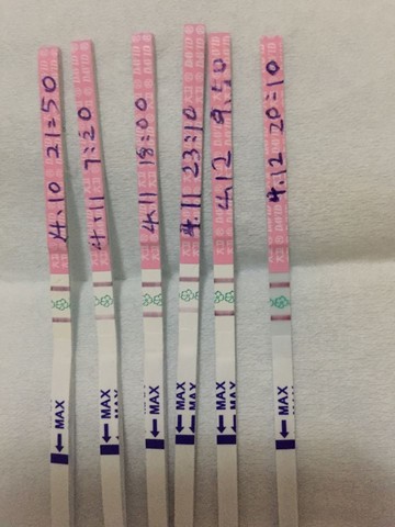 journal_insert_pic_219134426