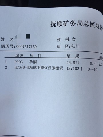 journal_insert_pic_219339341