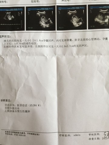 journal_insert_pic_221059741