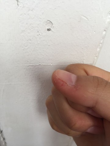 journal_insert_pic_221481638