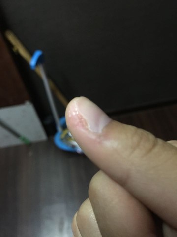 journal_insert_pic_221481629