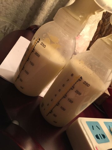 journal_insert_pic_222079266