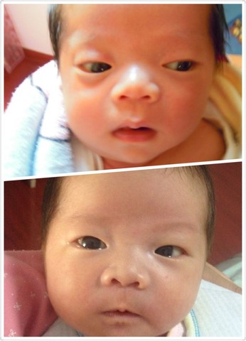 我是哪吒他妈.我来说我来美三年得心酸史.