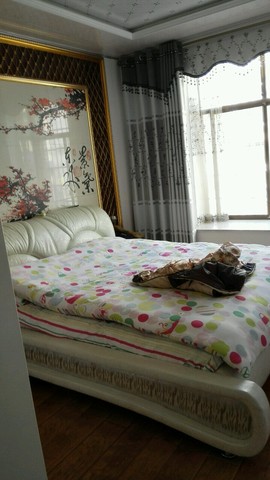 journal_insert_pic_224102386