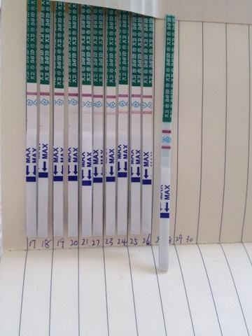 journal_insert_pic_223958230