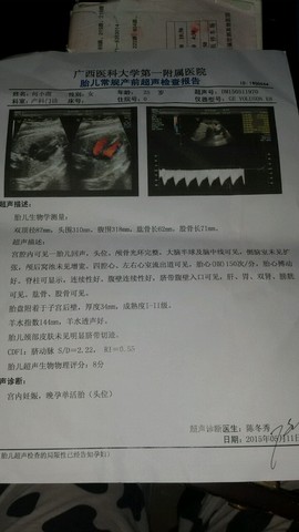 journal_insert_pic_229055729