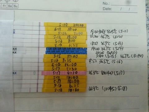 journal_insert_pic_231523663