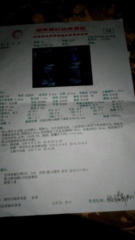 journal_insert_pic_232136620