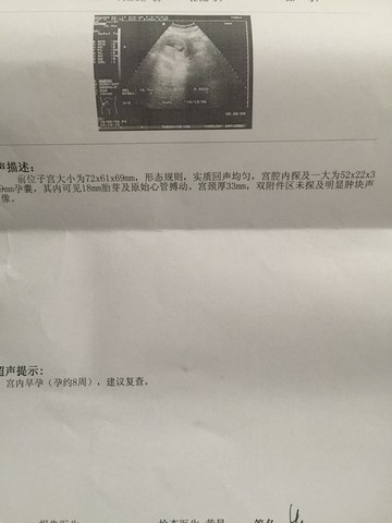 journal_insert_pic_232264811