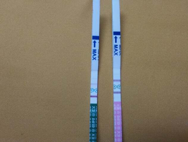 journal_insert_pic_232499714