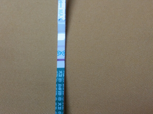 journal_insert_pic_232499638