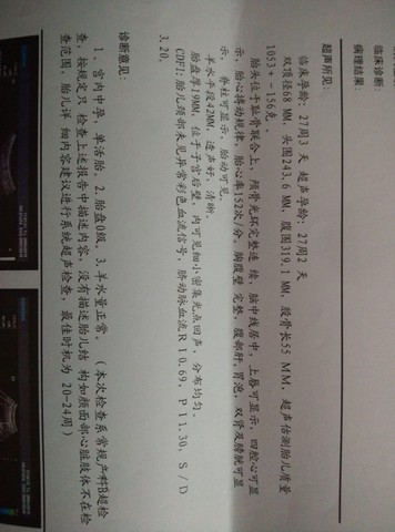 journal_insert_pic_232818605