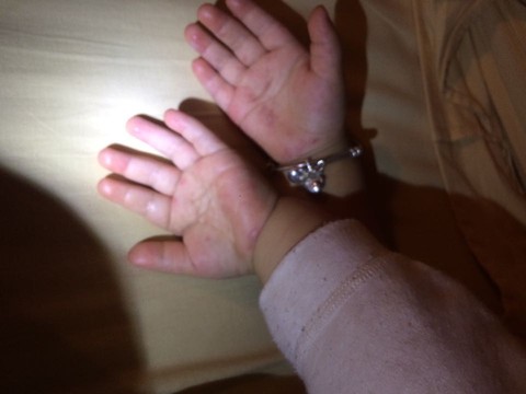 journal_insert_pic_233052462