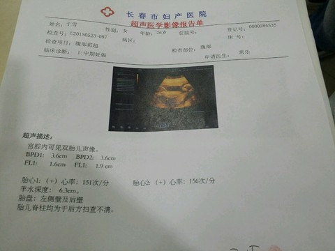 journal_insert_pic_233220935