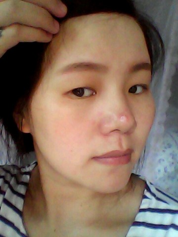 journal_insert_pic_233174504