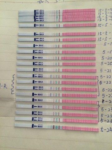 journal_insert_pic_233524511