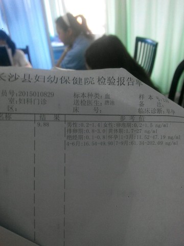 journal_insert_pic_234305123