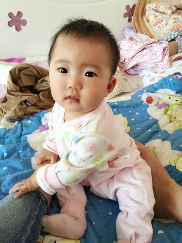 journal_insert_pic_235418222