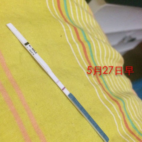 journal_insert_pic_235604193