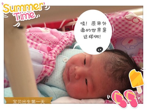 journal_insert_pic_236324528