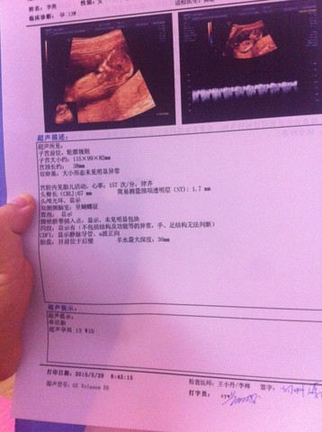 journal_insert_pic_236864665