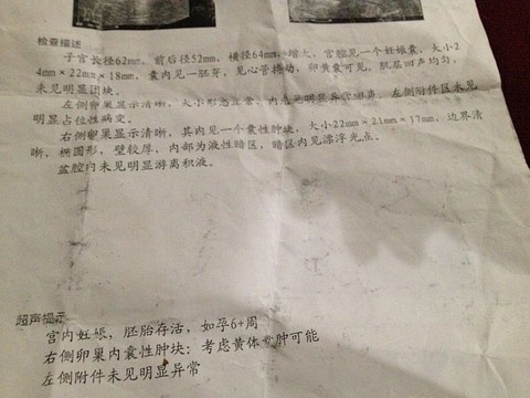 journal_insert_pic_237864472