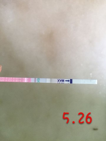 journal_insert_pic_237185500