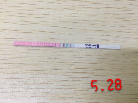 journal_insert_pic_237185540