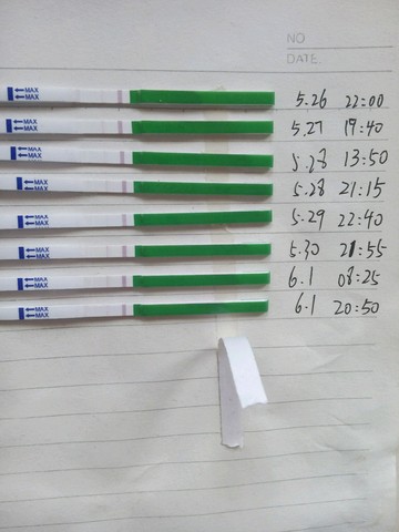 journal_insert_pic_238097837