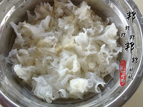 journal_insert_pic_238543252