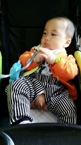 journal_insert_pic_238770298