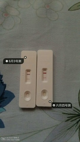 journal_insert_pic_238849605