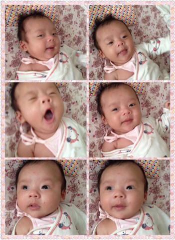 journal_insert_pic_239565126
