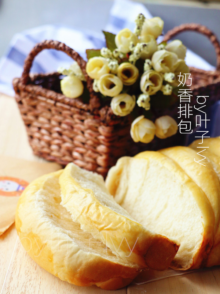 journal_insert_pic_239228895