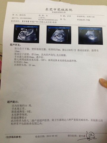 journal_insert_pic_239239740