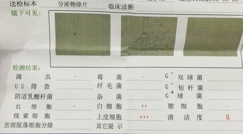 journal_insert_pic_239942384