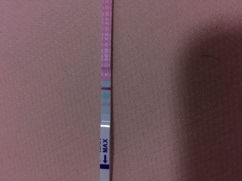 journal_insert_pic_239864279