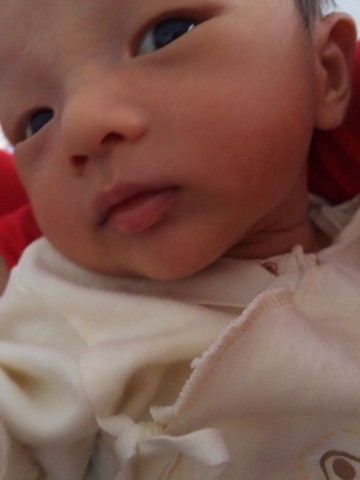 journal_insert_pic_239645374