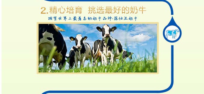 journal_insert_pic_240725562