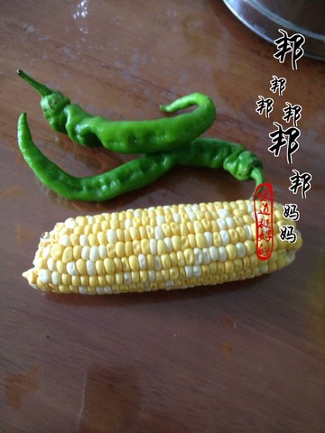 journal_insert_pic_241161638