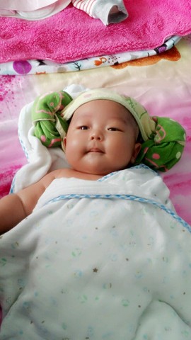 journal_insert_pic_241166092