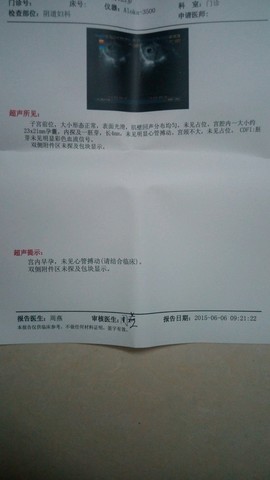 journal_insert_pic_241559382