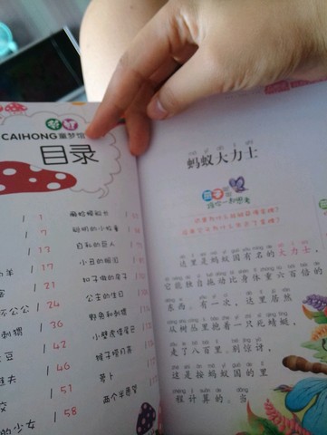 journal_insert_pic_242299689