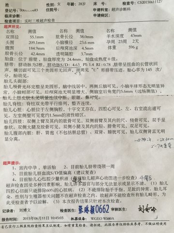 journal_insert_pic_242544034