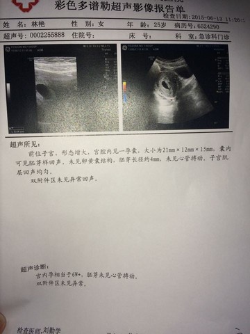 journal_insert_pic_242941754
